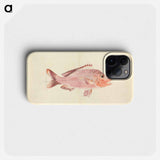 A Fish from the Red Sea
 - ルイージ バルガーニ Phone Case.