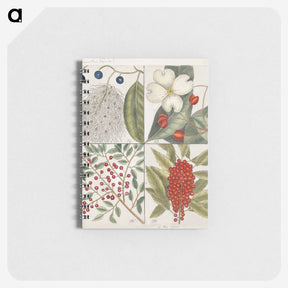 1-44_Mark-Catesby_memo