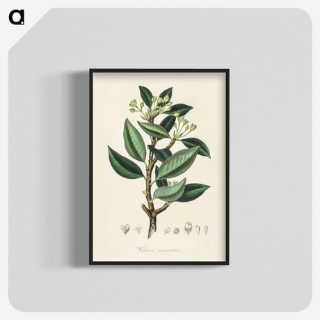 1-44_Medical-Botany_blk-crop
