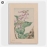 1-44_Megata-Morikaga_picture-crop