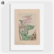 1-44_Megata-Morikaga_picture