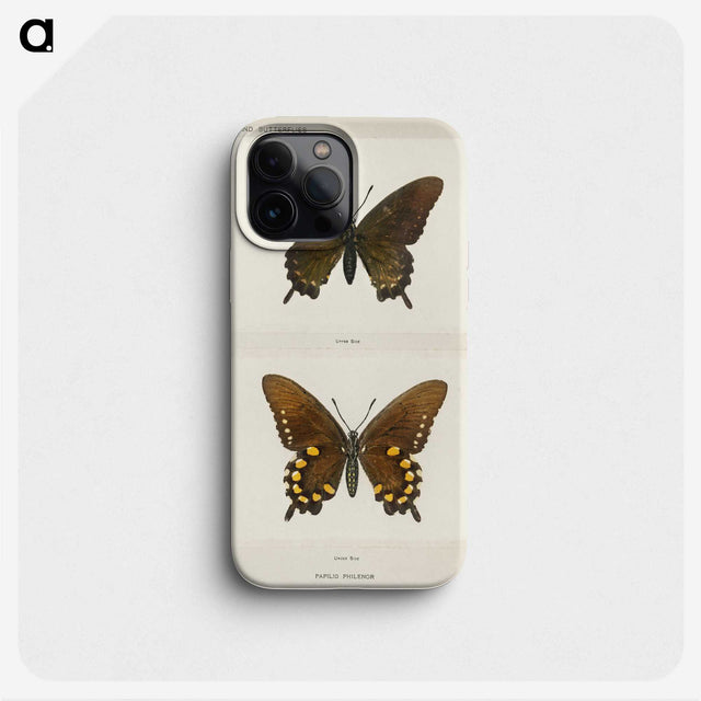 1-44_Moths-and-Butterflies-of-the-United-States_phone