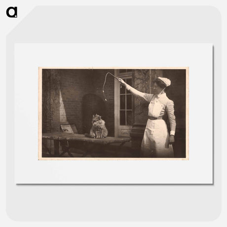 アートポスター-Nurse and Cat, Images from the History of Medicine
 - 国立医学図書館 Poster.