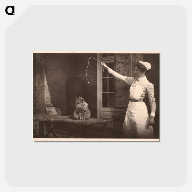 アートポストカード-Nurse and Cat, Images from the History of Medicine
 - 国立医学図書館 Postcard.
