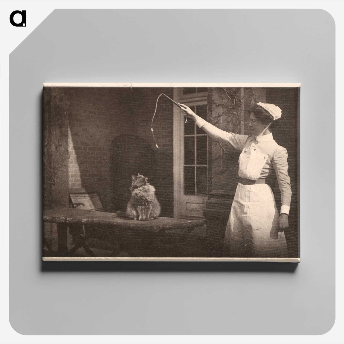 1-44_National-Library-of-Medicine_canvas
