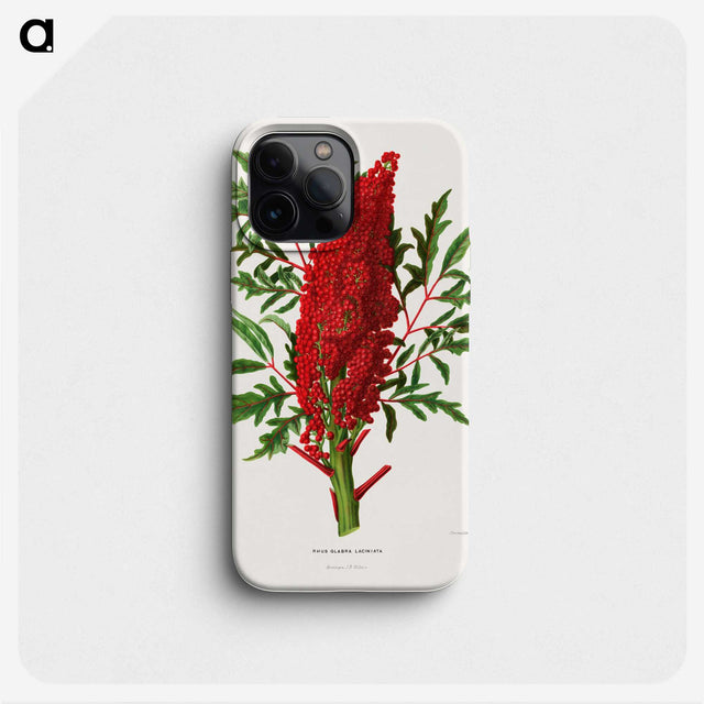 1-44_Nederlandsche-Flora-en-Pomona_phone