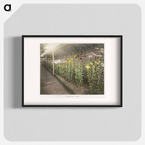 アートポスター-Chrysanthemum - 小川 一正 Poster.