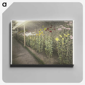 1-44_Ogawa-Kazumasa_canvas