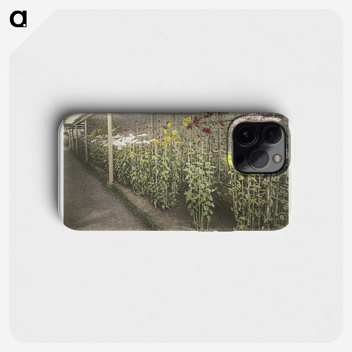 1-44_Ogawa-Kazumasa_phone