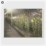 1-44_Ogawa-Kazumasa_picture-crop