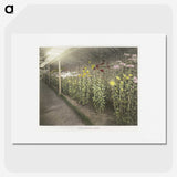 1-44_Ogawa-Kazumasa_picture