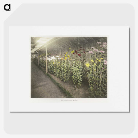 1-44_Ogawa-Kazumasa_picture