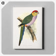 1-44_Parrots-in-Captivity_canvas