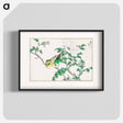 アートポスター-Brown-eared Bulbul and Rosa Rugosa
 - 鳥類図鑑 Poster.