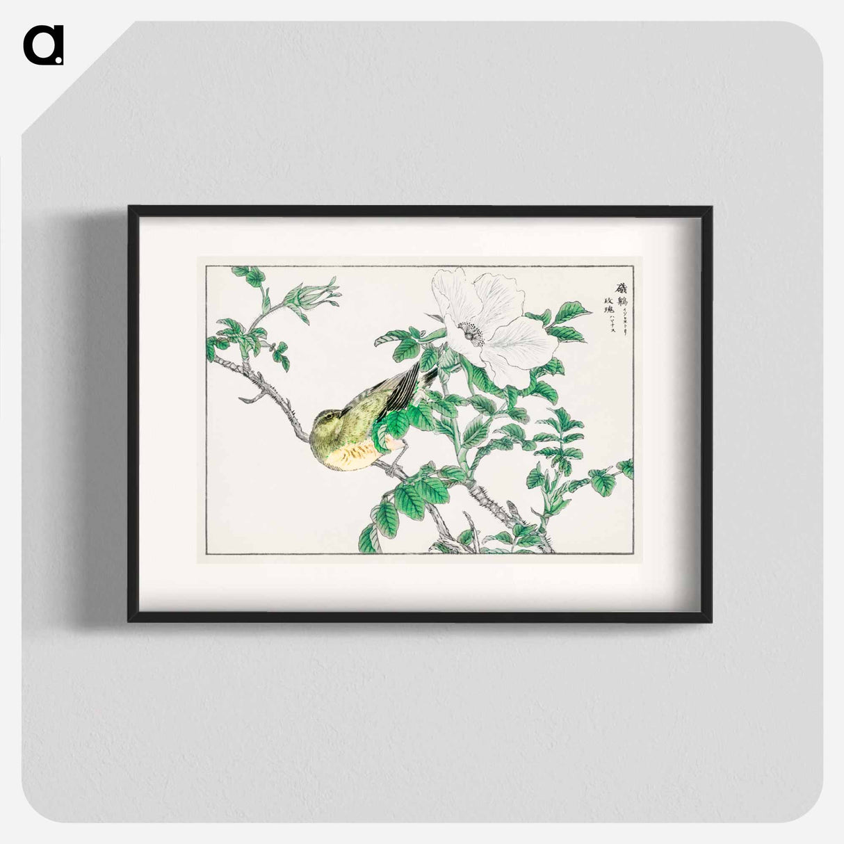 アートポスター-Brown-eared Bulbul and Rosa Rugosa
 - 鳥類図鑑 Poster.