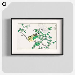 アートポスター-Brown-eared Bulbul and Rosa Rugosa
 - 鳥類図鑑 Poster.
