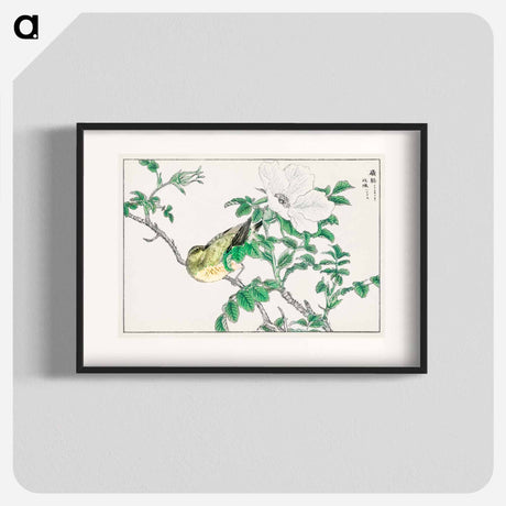 アートポスター-Brown-eared Bulbul and Rosa Rugosa
 - 鳥類図鑑 Poster.