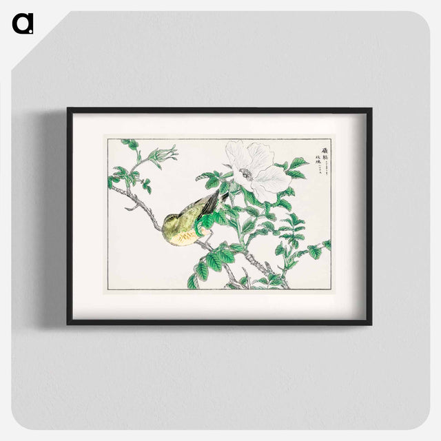 アートポスター-Brown-eared Bulbul and Rosa Rugosa
 - 鳥類図鑑 Poster.