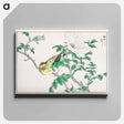 アートパネル-Brown-eared Bulbul and Rosa Rugosa
 - 鳥類図鑑 Canvas.