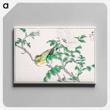 アートパネル-Brown-eared Bulbul and Rosa Rugosa
 - 鳥類図鑑 Canvas.