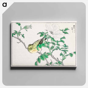 アートパネル-Brown-eared Bulbul and Rosa Rugosa
 - 鳥類図鑑 Canvas.