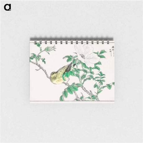 アートメモ帳-Brown-eared Bulbul and Rosa Rugosa
 - 鳥類図鑑 Memo.