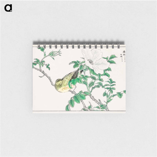 アートメモ帳-Brown-eared Bulbul and Rosa Rugosa
 - 鳥類図鑑 Memo.
