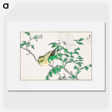 アートポスター-Brown-eared Bulbul and Rosa Rugosa
 - 鳥類図鑑 Poster.