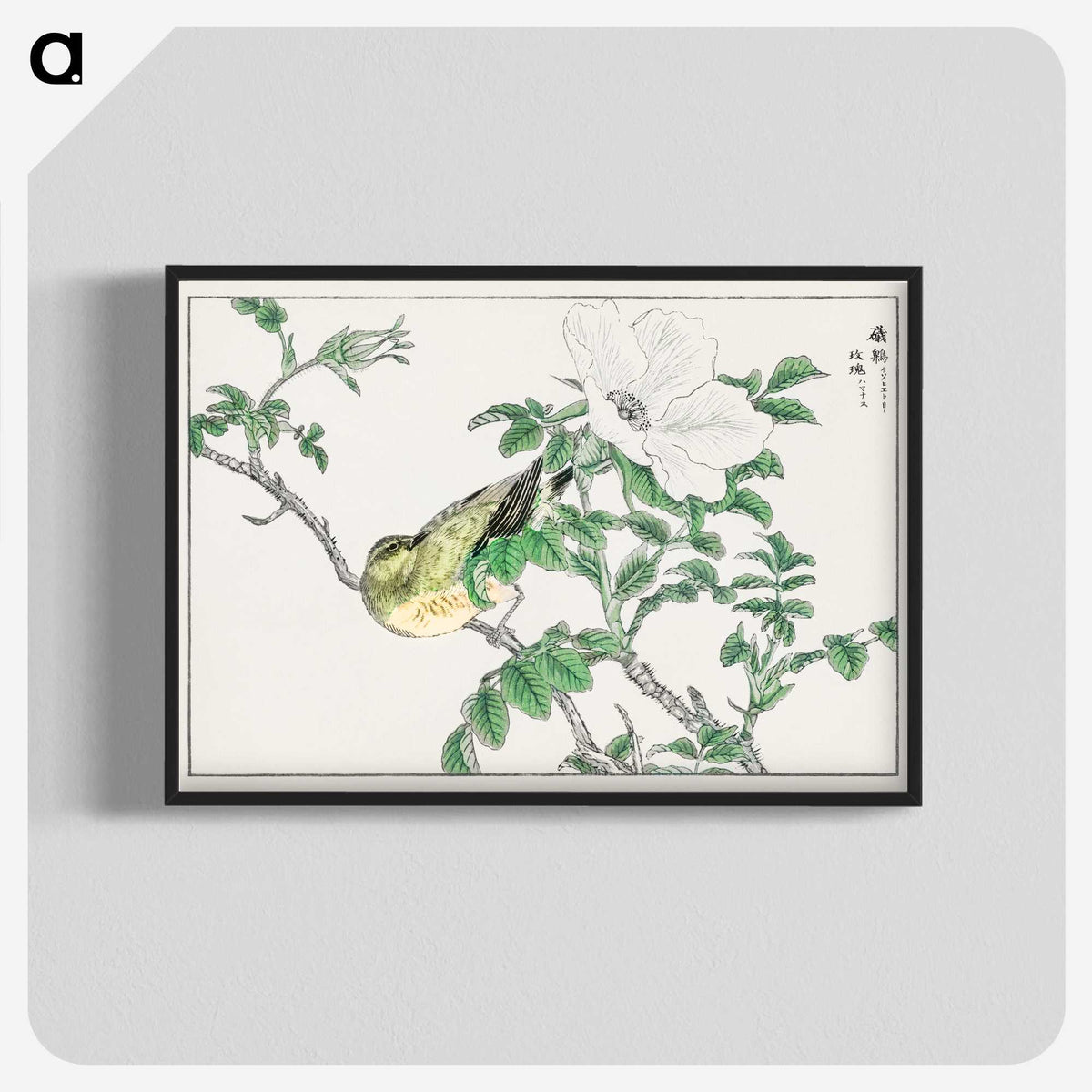 1-44_Pictorial-Monograph-of-Birds_blk-crop