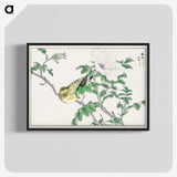 1-44_Pictorial-Monograph-of-Birds_blk-crop
