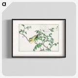 1-44_Pictorial-Monograph-of-Birds_blk