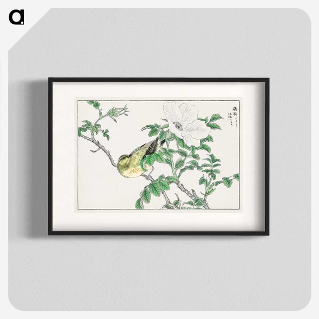 1-44_Pictorial-Monograph-of-Birds_blk