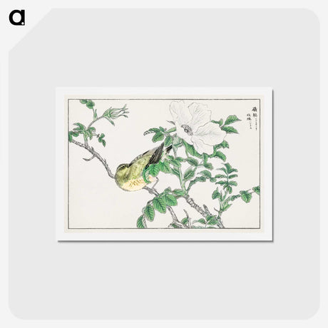 1-44_Pictorial-Monograph-of-Birds_hagaki