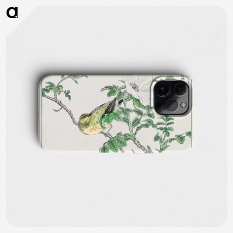 1-44_Pictorial-Monograph-of-Birds_phone