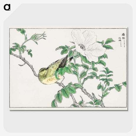 1-44_Pictorial-Monograph-of-Birds_picture-crop
