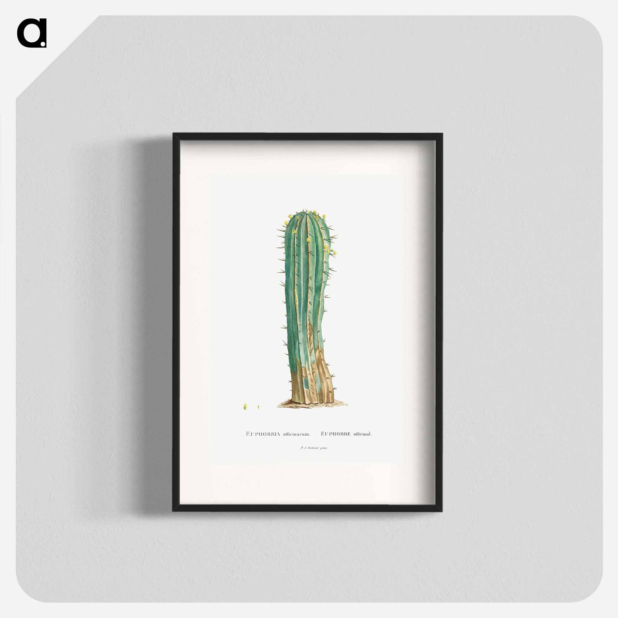 Euphorbia Officinarum - Pierre Joseph Redouté Poster.
