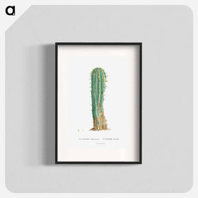 アートポスター-Euphorbia Officinarum - ピエール ジョゼフ ルドゥーテ Poster.