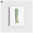 1-44_Pierre-Joseph-Redoute_memo