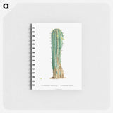 Euphorbia Officinarum - ピエール ジョゼフ ルドゥーテ Memo.