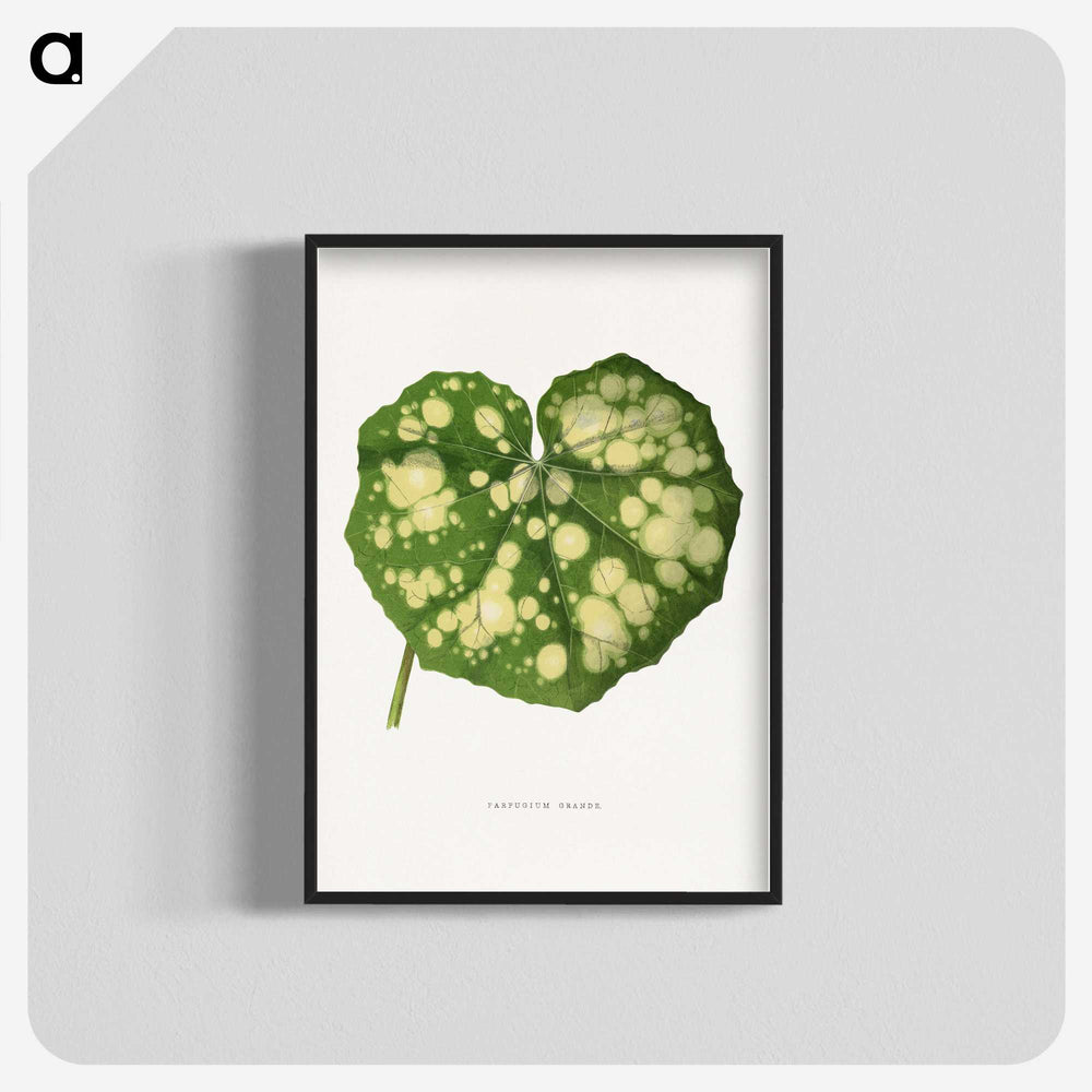 1-44_Plants-with-Colored-Foliage_blk-crop