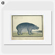 1-44_Robert-Jacob-Gordon_picture