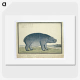 1-44_Robert-Jacob-Gordon_picture