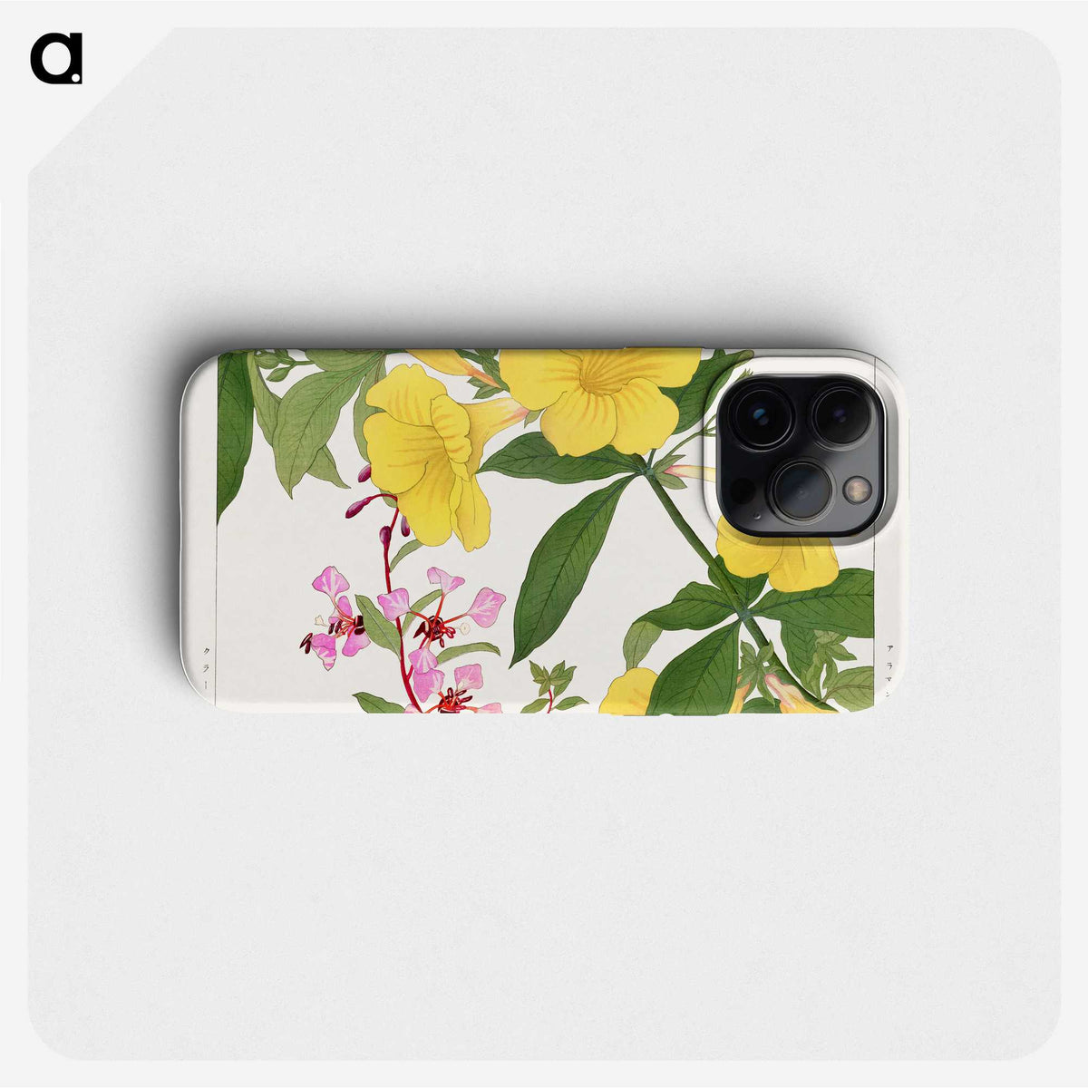 1-44_Seiyo-Soka-Zufu_phone