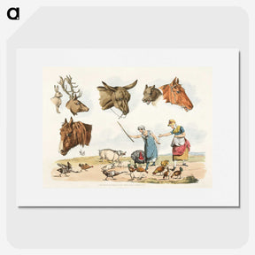 1-44_Sporting-Sketches_picture