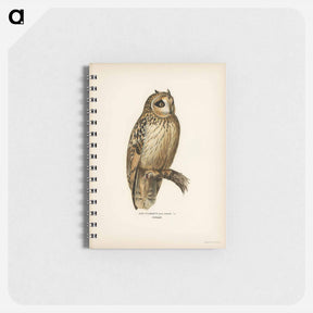 アートメモ帳-Short-eared Owl
 - スヴェンスカ フォグラル Memo.