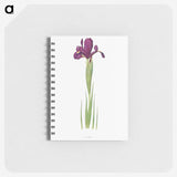 1-44_The-Genus-Iris_memo