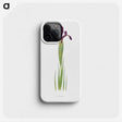 1-44_The-Genus-Iris_phone