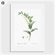 1-44_The-Lilies_picture