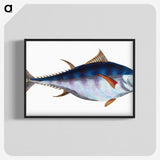 1-44_The-Natural-History-of-British-Fishes_blk-crop