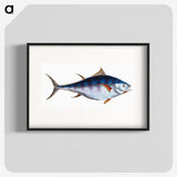 1-44_The-Natural-History-of-British-Fishes_blk